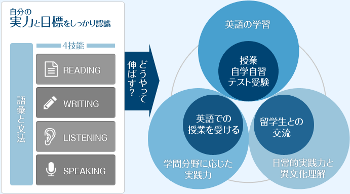 英語学習