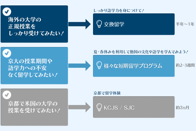 留学プログラム分類図